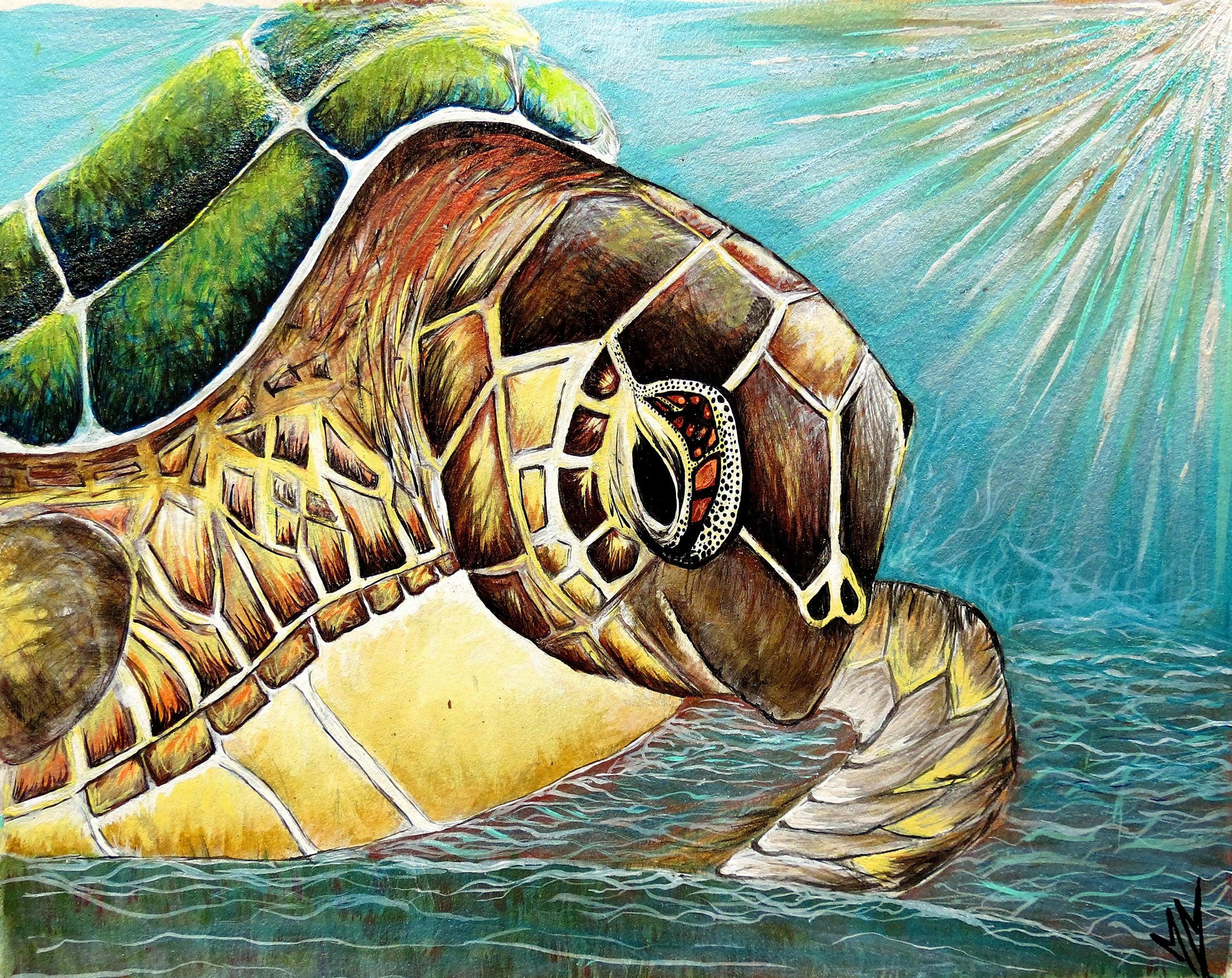 Turtle Island | Turtle Spiritual Art | Sea Turtle Painting | Beach Art | Symbolic Wildlife Art