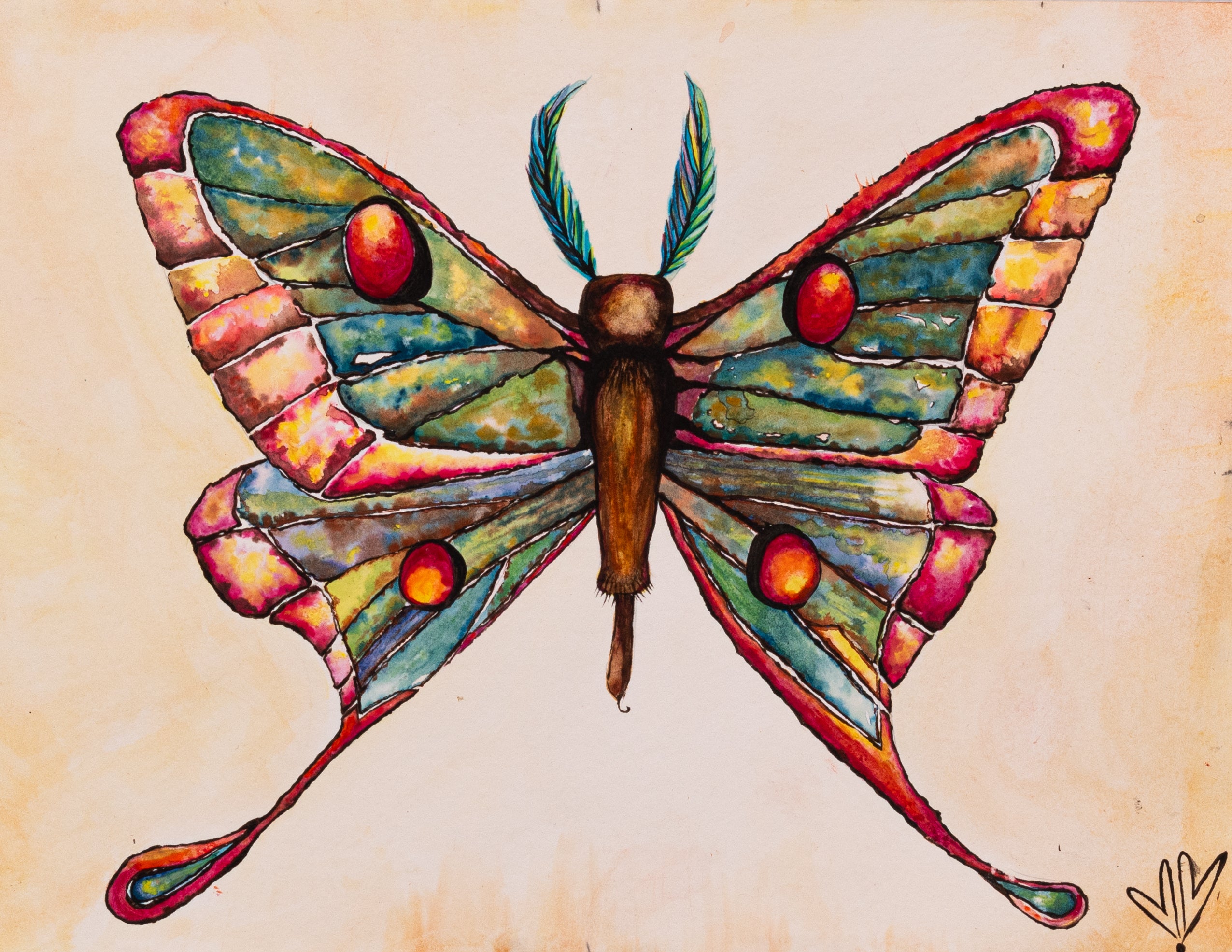 Graellsia isabellae | Spanish Moon Moth | Metamorphosis Art | Butterfly Moth Painting