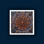 Metamorphosis | Butterfly Mandala | Renewal and personal transformation painting | Metallic Print